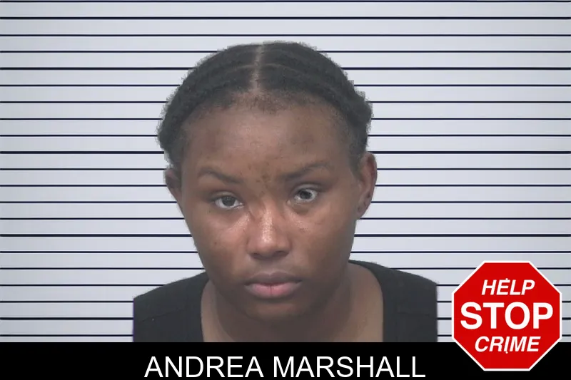 Andrea Marshall mugshot – Gwinnett County , Georgia Andrea Marshall mugshot