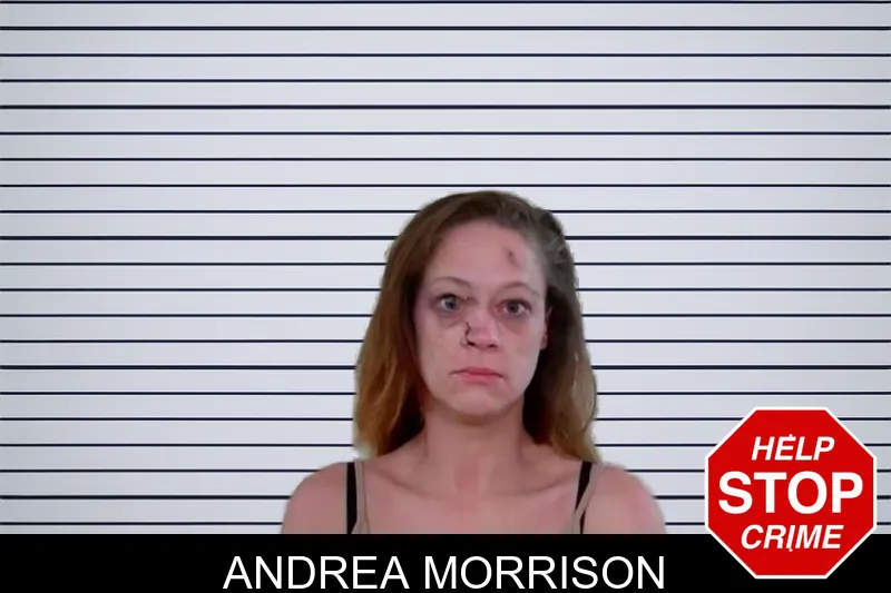 Andrea Morrison mugshot – Liberty County , Georgia Andrea Morrison mugshot