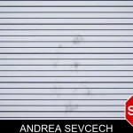 Andrea Sevcech mugshot – Polk County , Georgia Andrea Sevcech mugshot