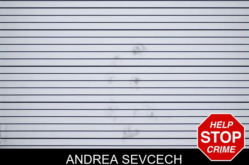 Andrea Sevcech mugshot – Polk County , Georgia Andrea Sevcech mugshot