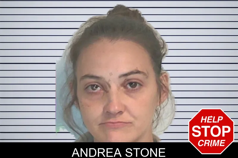 Andrea Stone mugshot – Berrien County , Georgia Andrea Stone mugshot