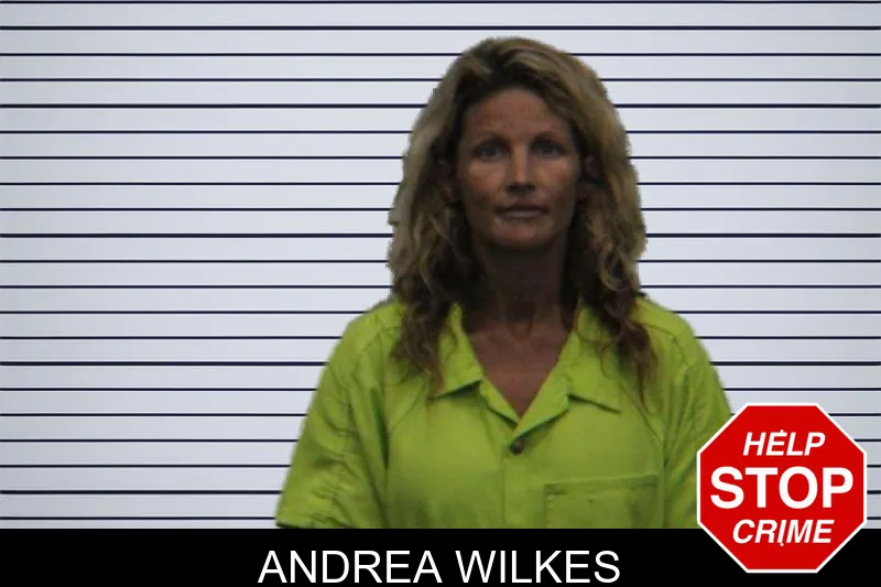 Andrea Wilkes mugshot – Turner County , Georgia Andrea Wilkes mugshot