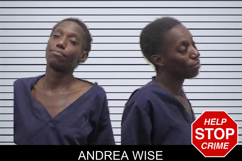 Andrea Wise mugshot