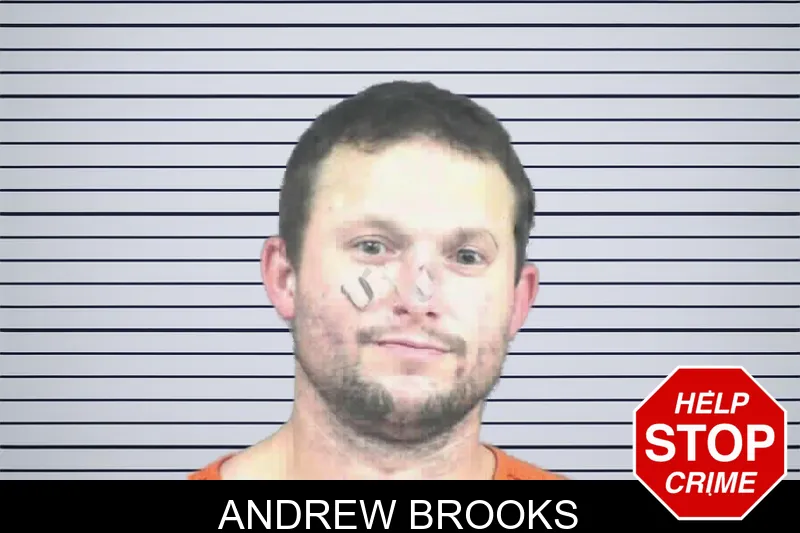 Andrew Brooks mugshot