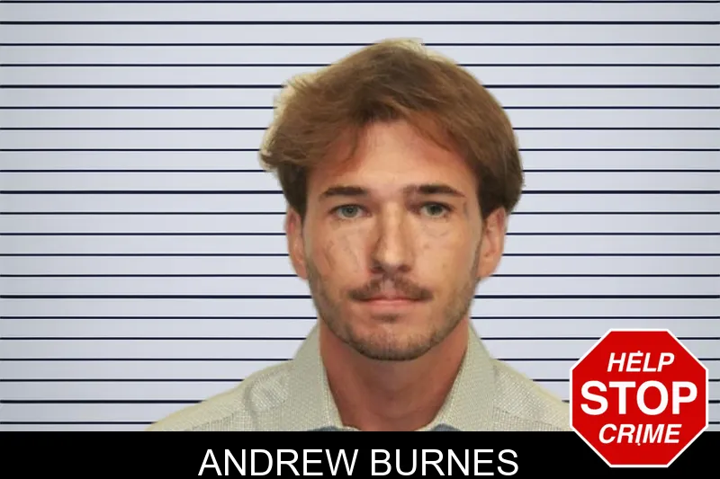 Andrew Burnes mugshot – Chatham County , Georgia Andrew Burnes mugshot