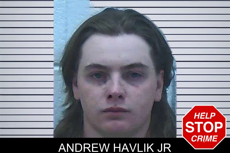 Andrew Havlik Jr mugshot – Jackson County , Georgia Andrew Havlik Jr mugshot