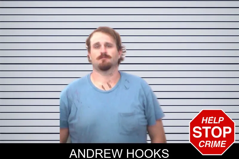 Andrew Hooks mugshot – Emanuel County , Georgia Andrew Hooks mugshot