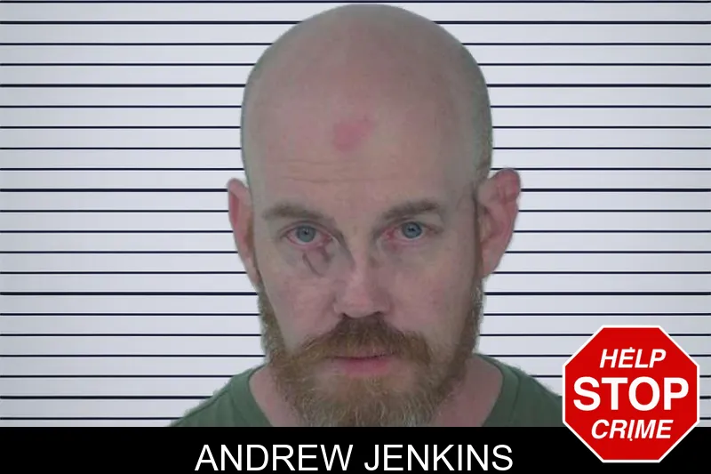 Andrew Jenkins mugshot – Fayette County , Georgia Andrew Jenkins mugshot