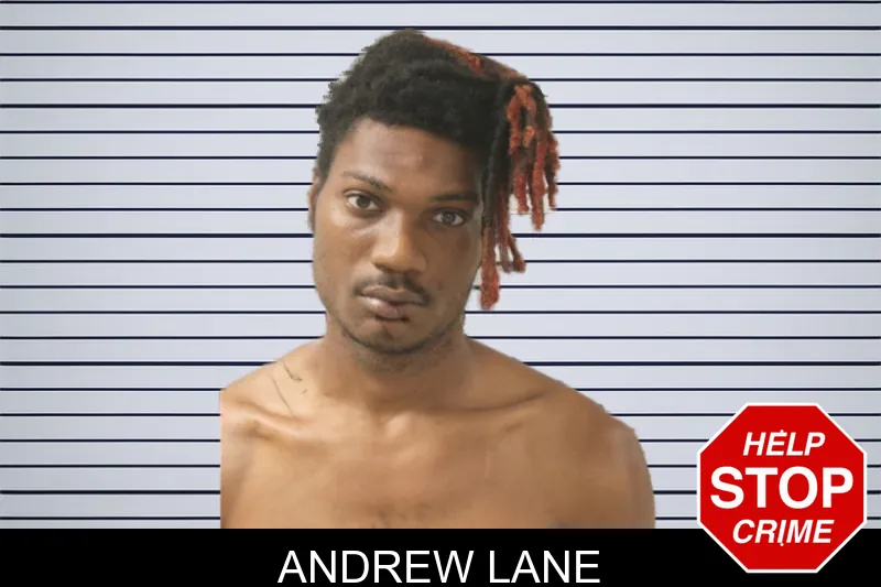 Andrew Lane mugshot – Toombs County , Georgia Andrew Lane mugshot