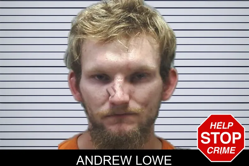 Andrew Lowe mugshot