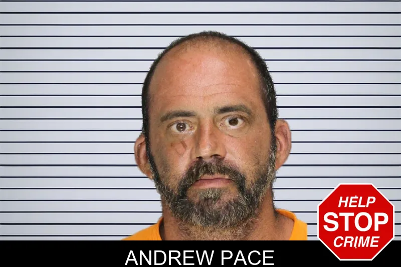 Andrew Pace mugshot – Cobb County , Georgia Andrew Pace mugshot
