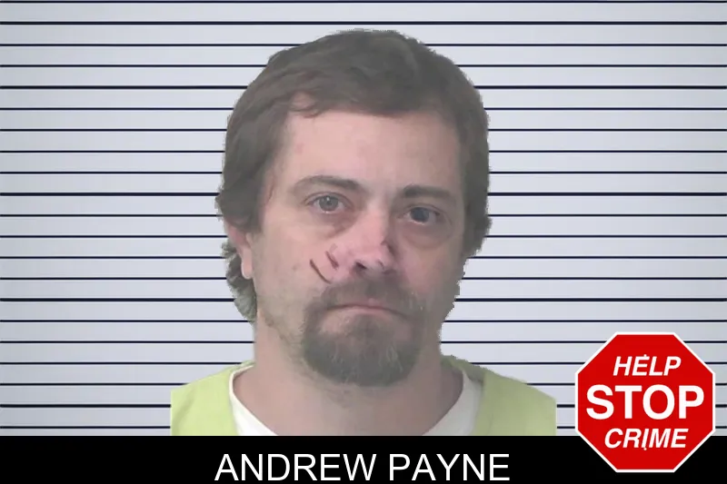 Andrew Payne mugshot – Newton County , Georgia Andrew Payne mugshot