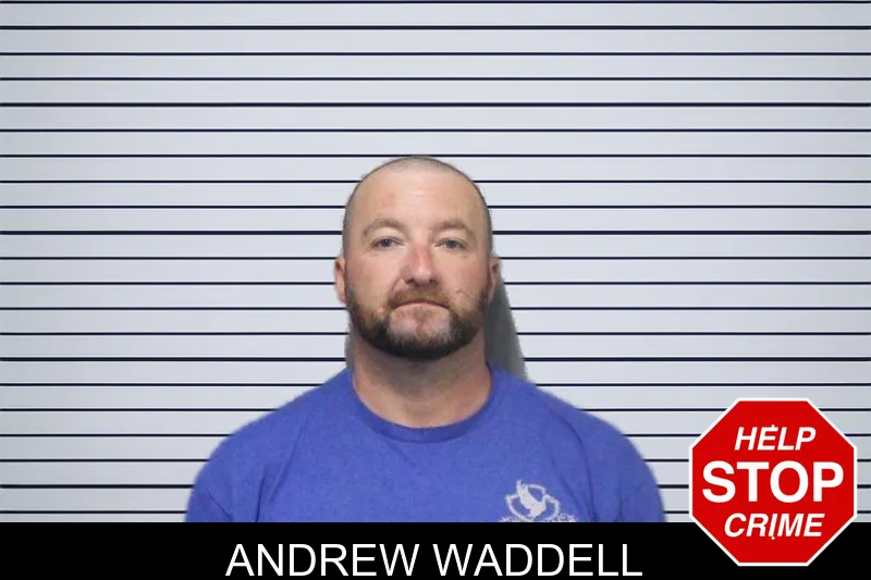 Andrew Waddell mugshot – White County , Georgia Andrew Waddell mugshot