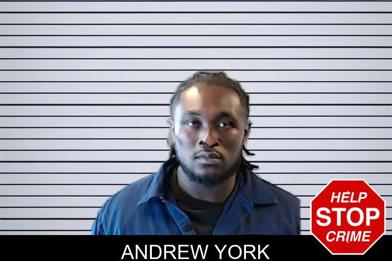 Andrew York mugshot