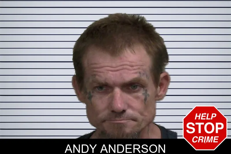 Andy Anderson mugshot – Wayne County , Georgia Andy Anderson mugshot