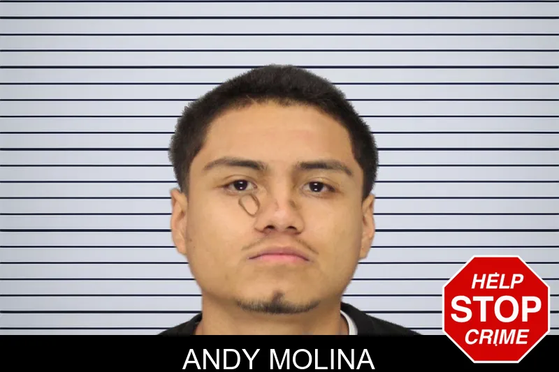Andy Molina mugshot