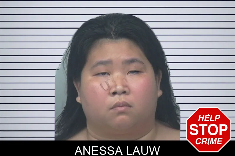Anessa Lauw mugshot – Gwinnett County , Georgia Anessa Lauw mugshot