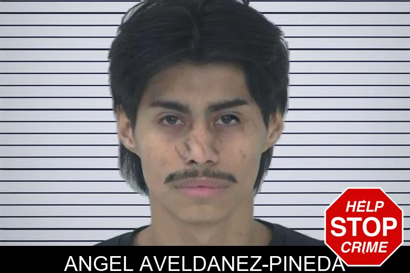Angel Aveldanez-Pineda mugshot – Fayette County , Georgia Angel Aveldanez-Pineda mugshot