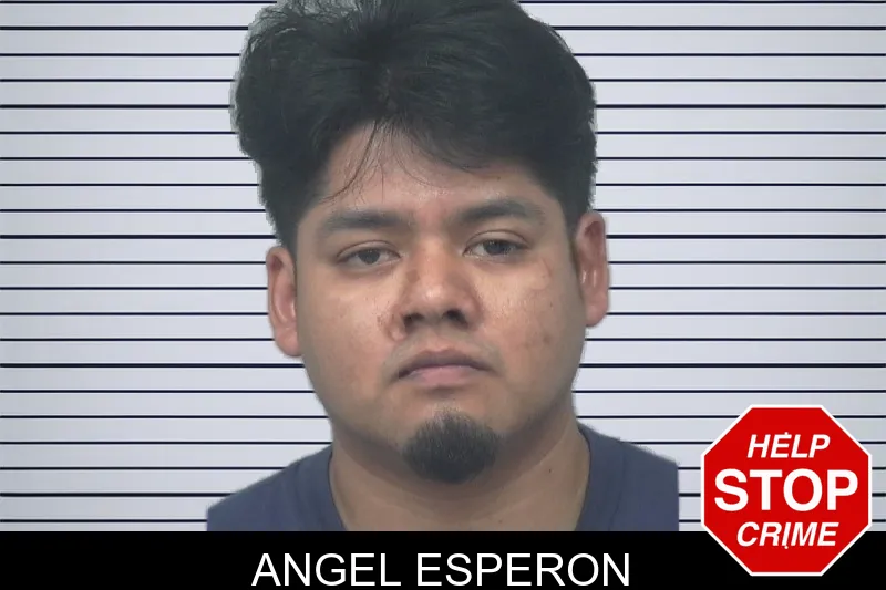 Angel Esperon mugshot – Gwinnett County , Georgia Angel Esperon mugshot