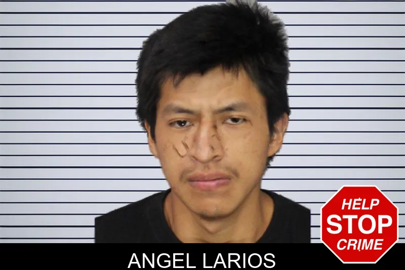 Angel Larios mugshot – Cobb County , Georgia Angel Larios mugshot