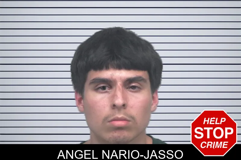 Angel Nario-Jasso mugshot – Gwinnett County , Georgia Angel Nario-Jasso mugshot