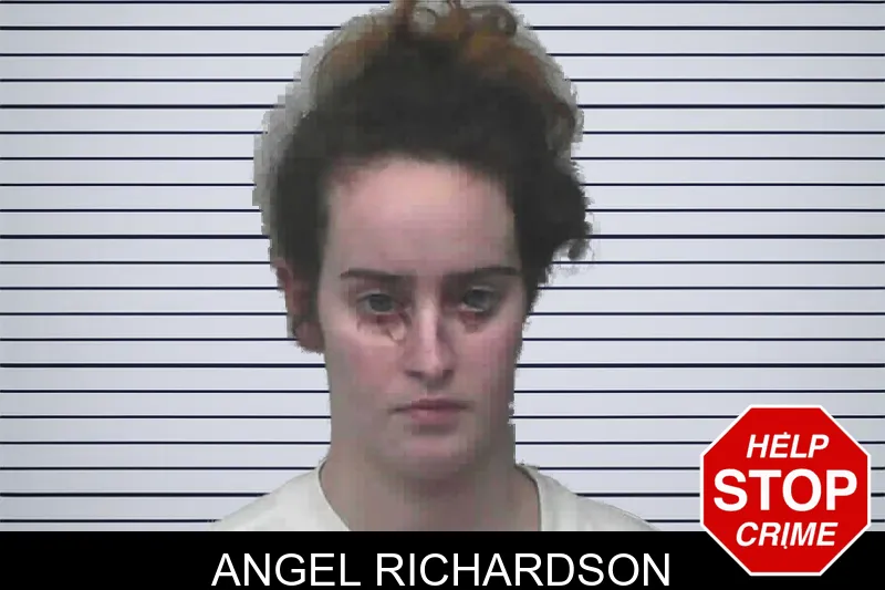 Angel Richardson mugshot – Lanier County , Georgia Angel Richardson mugshot