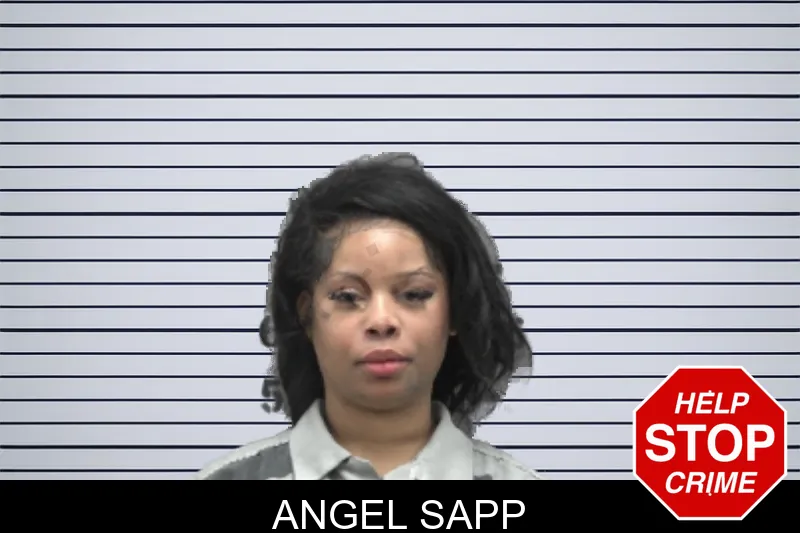 Angel Sapp mugshot – Dougherty County , Georgia Angel Sapp mugshot