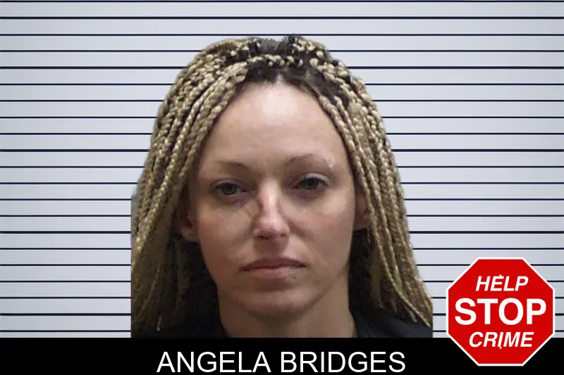 Angela Bridges mugshot