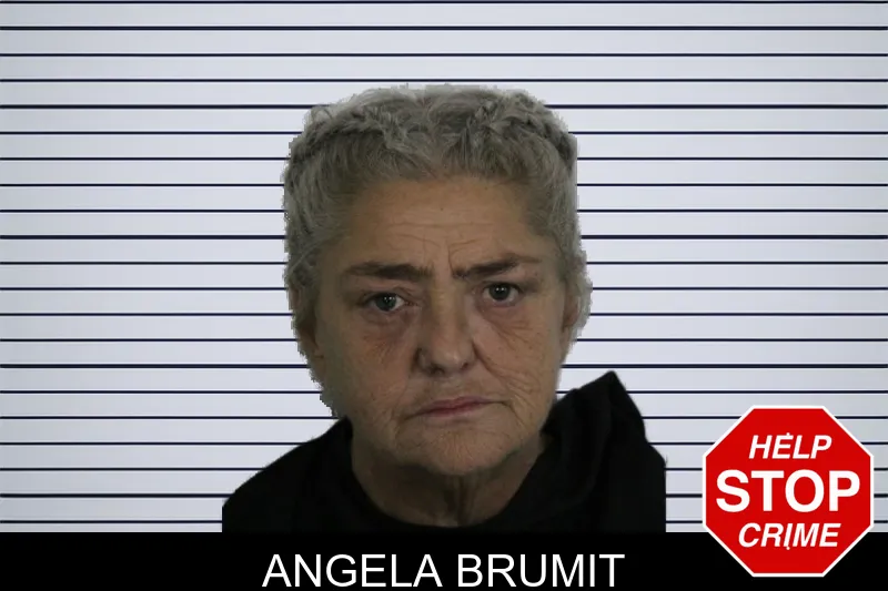Angela Brumit mugshot