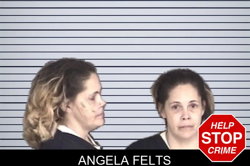 Angela Felts mugshot – Barrow County , Georgia Angela Felts mugshot