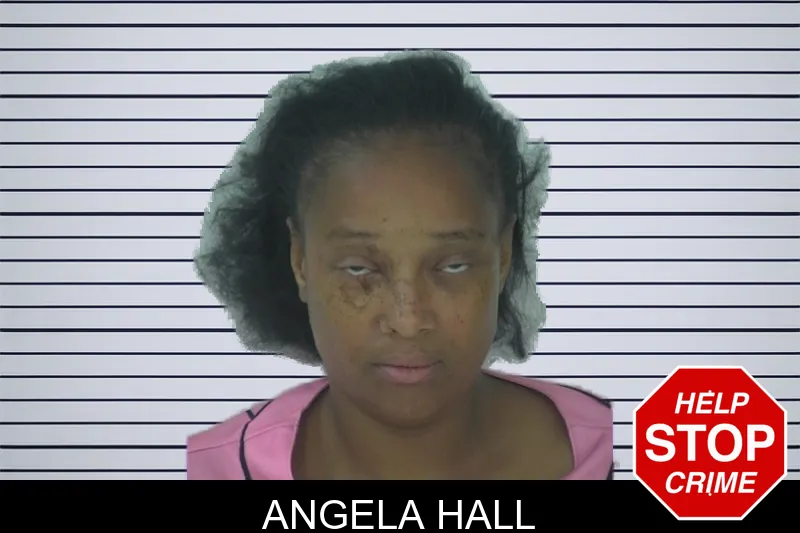 Angela Hall mugshot – Fayette County , Georgia Angela Hall mugshot