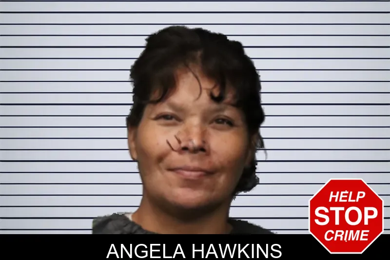 Angela Hawkins mugshot – Forsyth County , Georgia Angela Hawkins mugshot