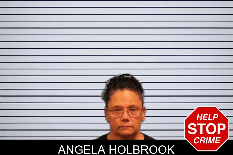 Angela Holbrook mugshot – Monroe County , Georgia Angela Holbrook mugshot