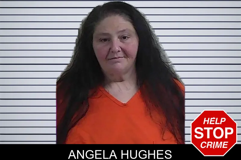 Angela Hughes mugshot – Fannin County , Georgia Angela Hughes mugshot