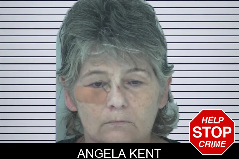 Angela Kent mugshot – Fayette County , Georgia Angela Kent mugshot