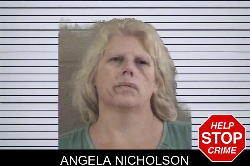 Angela Nicholson mugshot – Whitfield County , Georgia Angela Nicholson mugshot
