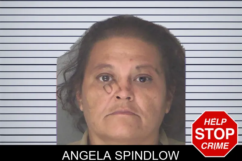 Angela Spindlow mugshot – Douglas County , Georgia Angela Spindlow mugshot