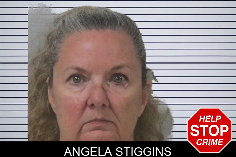 Angela Stiggins mugshot – Mcintosh County , Georgia Angela Stiggins mugshot