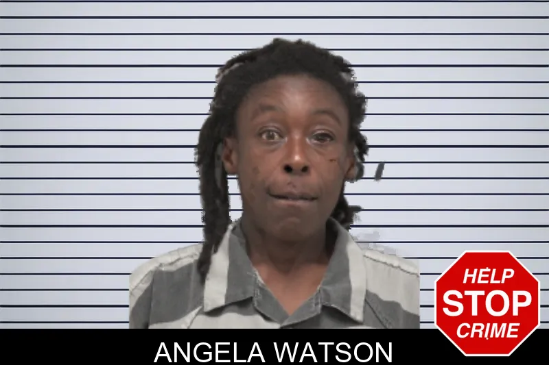 Angela Watson mugshot – Dougherty County , Georgia Angela Watson mugshot