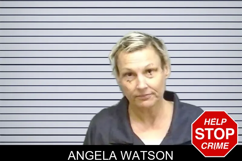 Angela Watson mugshot