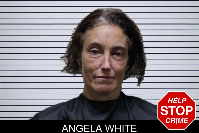 Angela White mugshot – Haralson County , Georgia Angela White mugshot