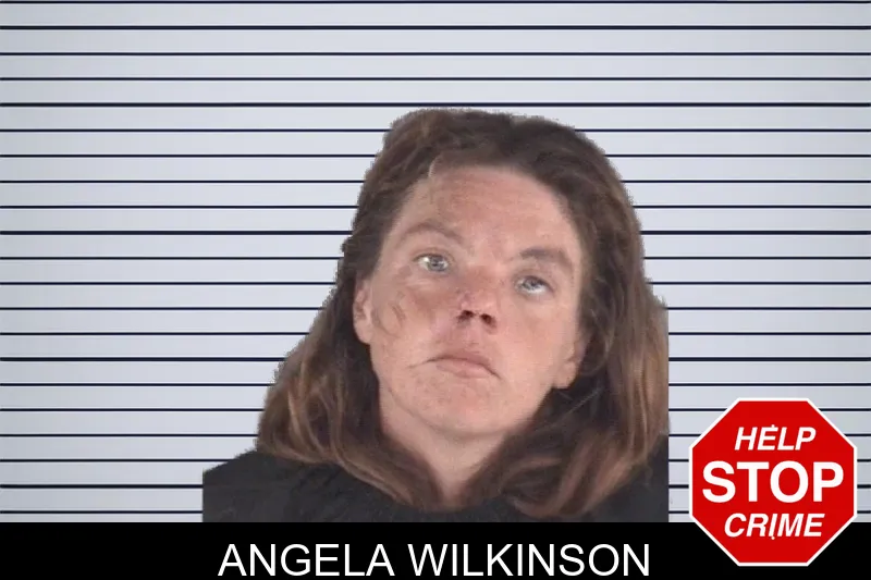 Angela Wilkinson mugshot – Spalding County , Georgia Angela Wilkinson mugshot