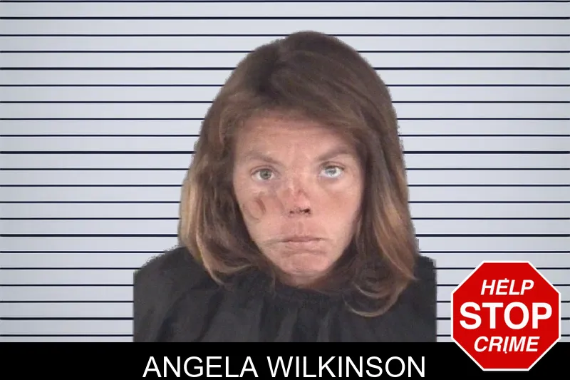 Angela Wilkinson mugshot – Spalding County , Georgia Angela Wilkinson mugshot