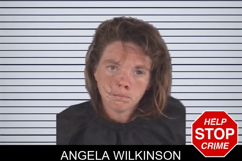 Angela Wilkinson mugshot – Spalding County , Georgia Angela Wilkinson mugshot