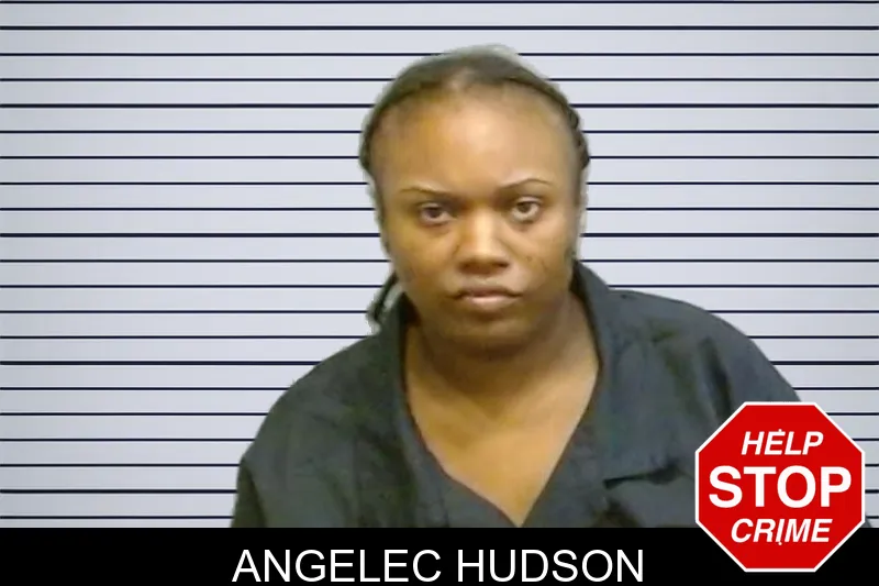 Angelec Hudson mugshot – Fulton County , Georgia Angelec Hudson mugshot