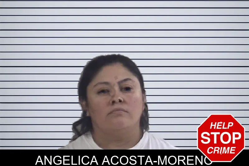 Angelica Acosta-Moreno mugshot – Whitfield County , Georgia Angelica Acosta-Moreno mugshot