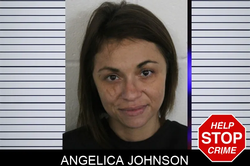 Angelica Johnson mugshot