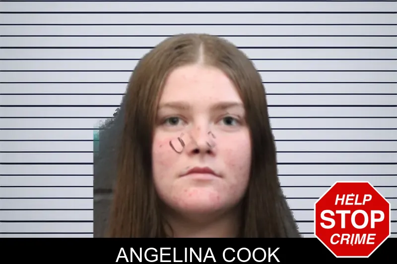 Angelina Cook mugshot