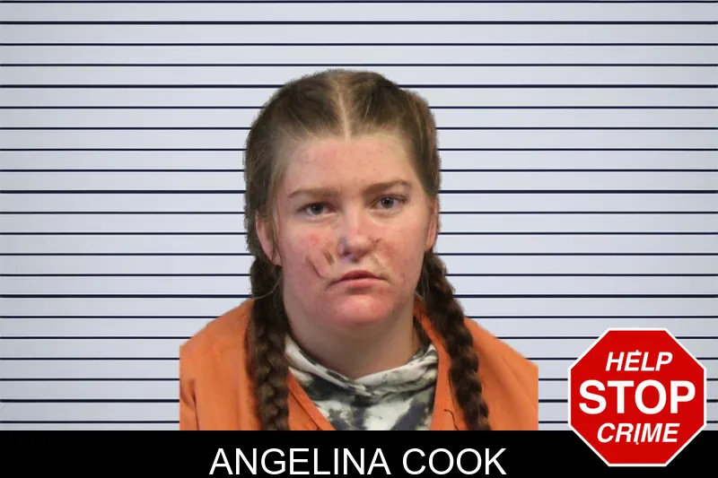 Angelina Cook mugshot