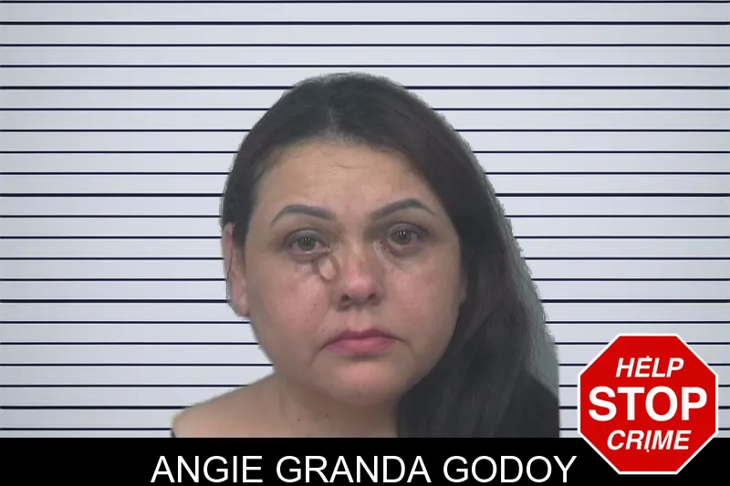Angie Granda Godoy mugshot – Gwinnett County , Georgia Angie Granda Godoy mugshot